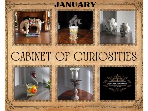 January cabinet of Curiosities Auction